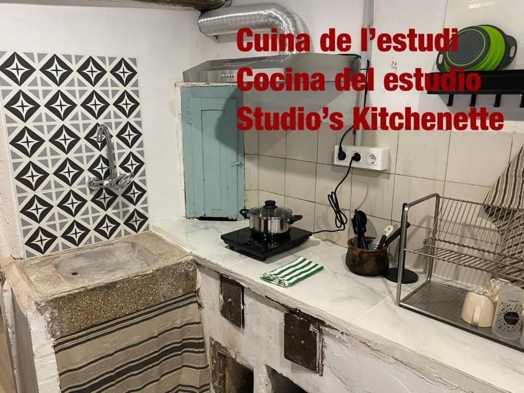 Cal Mestre- Olot Exterior photo